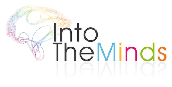 IntoTheMinds, market research firm in France and Belgium