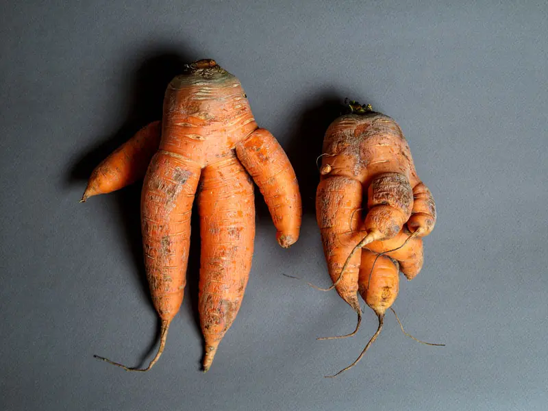 Illustration de notre publication "Les fruits et légumes moches sont une manne pour les commerces"