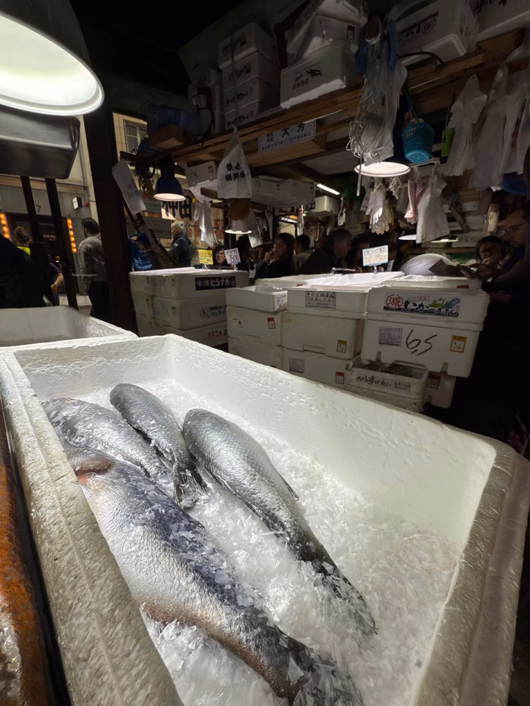 Kodawari Tsukiji Paris